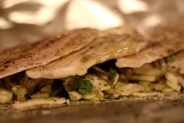 rödspätta på fänkålsbädd 3