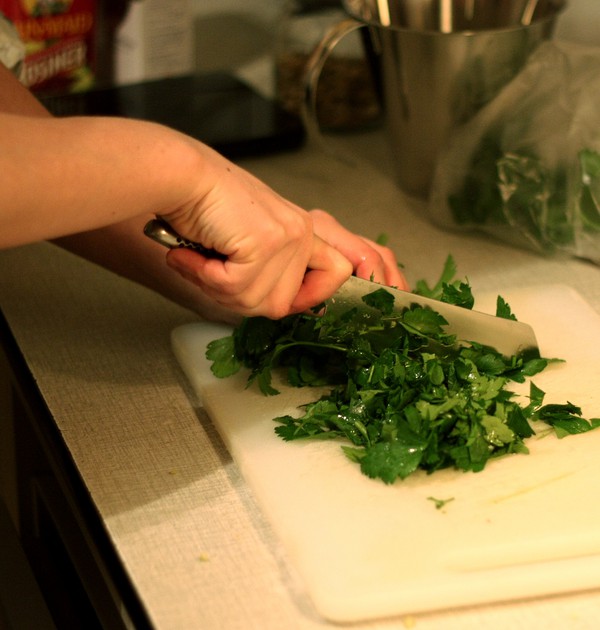 rödspätta på fänkålsbädd 4