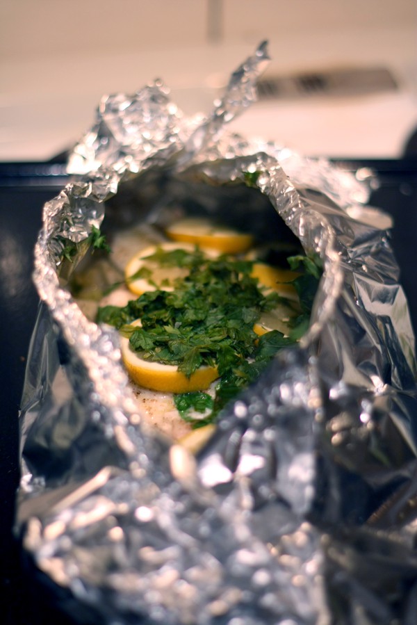 rödspätta på fänkålsbädd 7