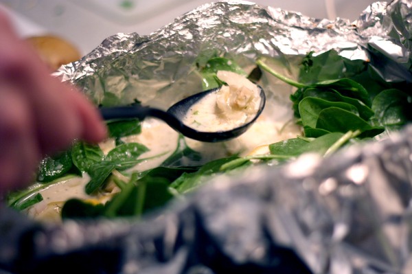 rödspätta på fänkålsbädd 9