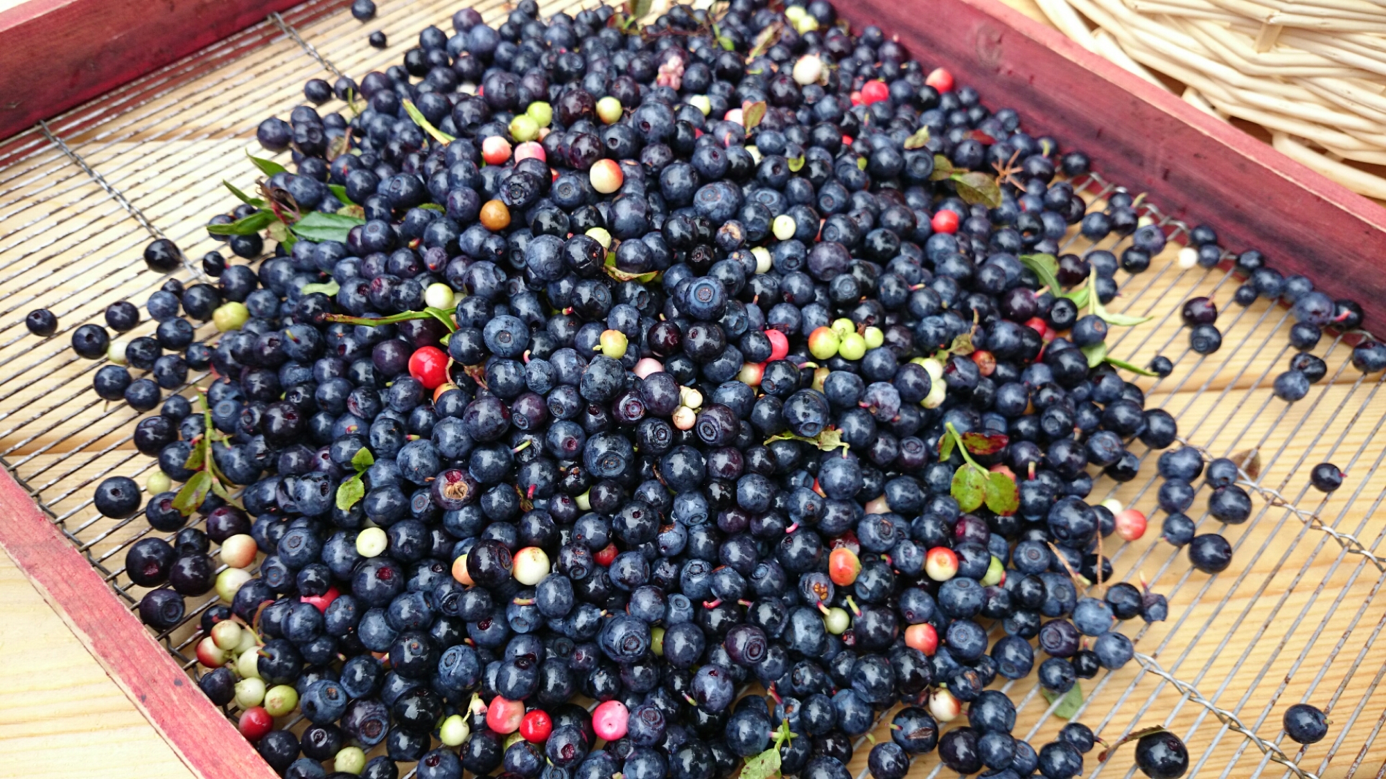 wp-1408860110840 image