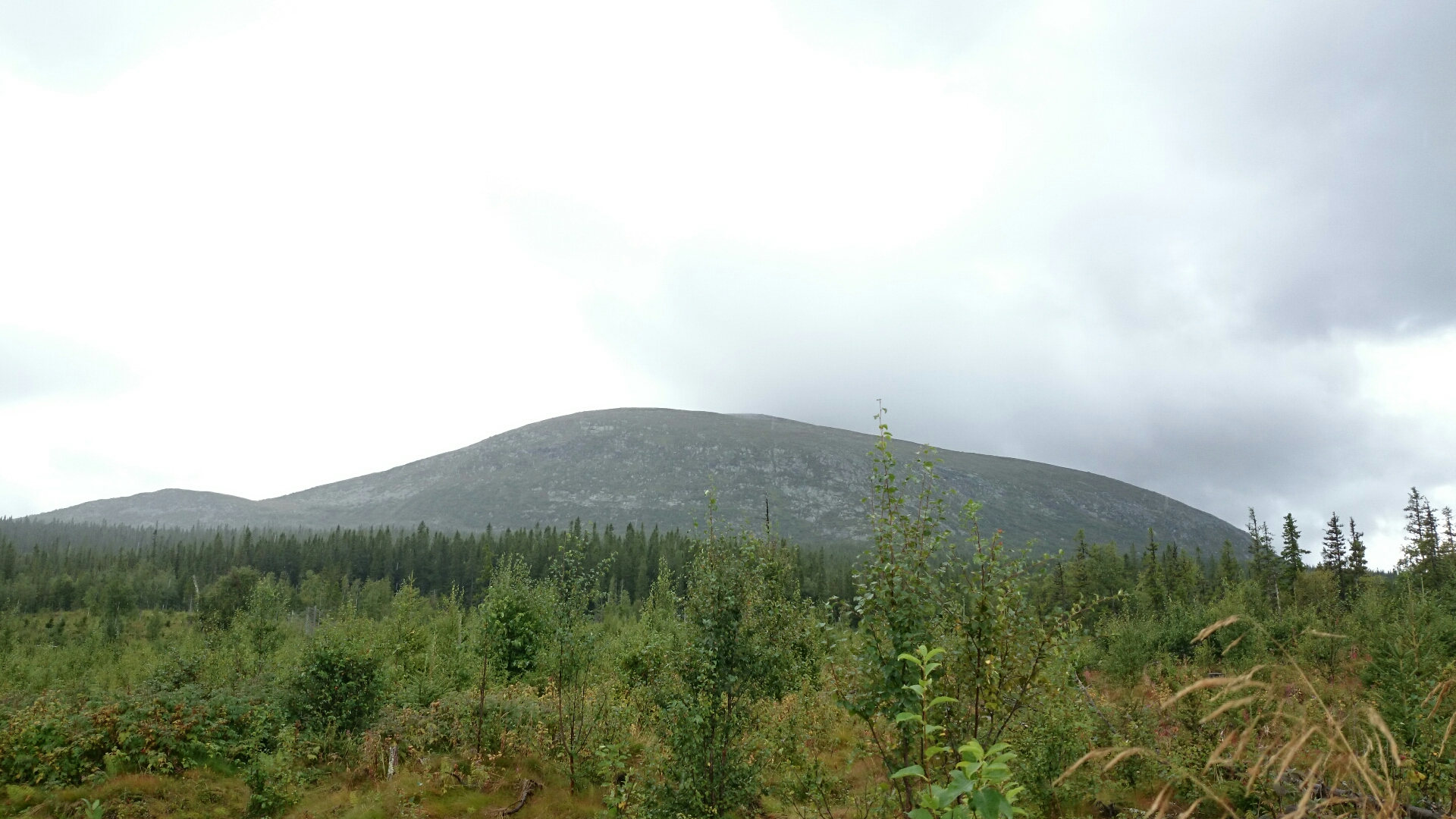 wp-1408860144331 image