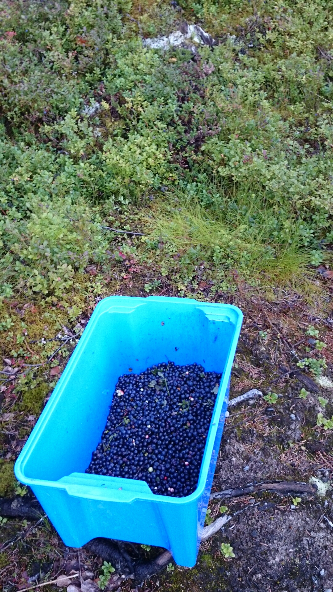 wp-1408860301728 image