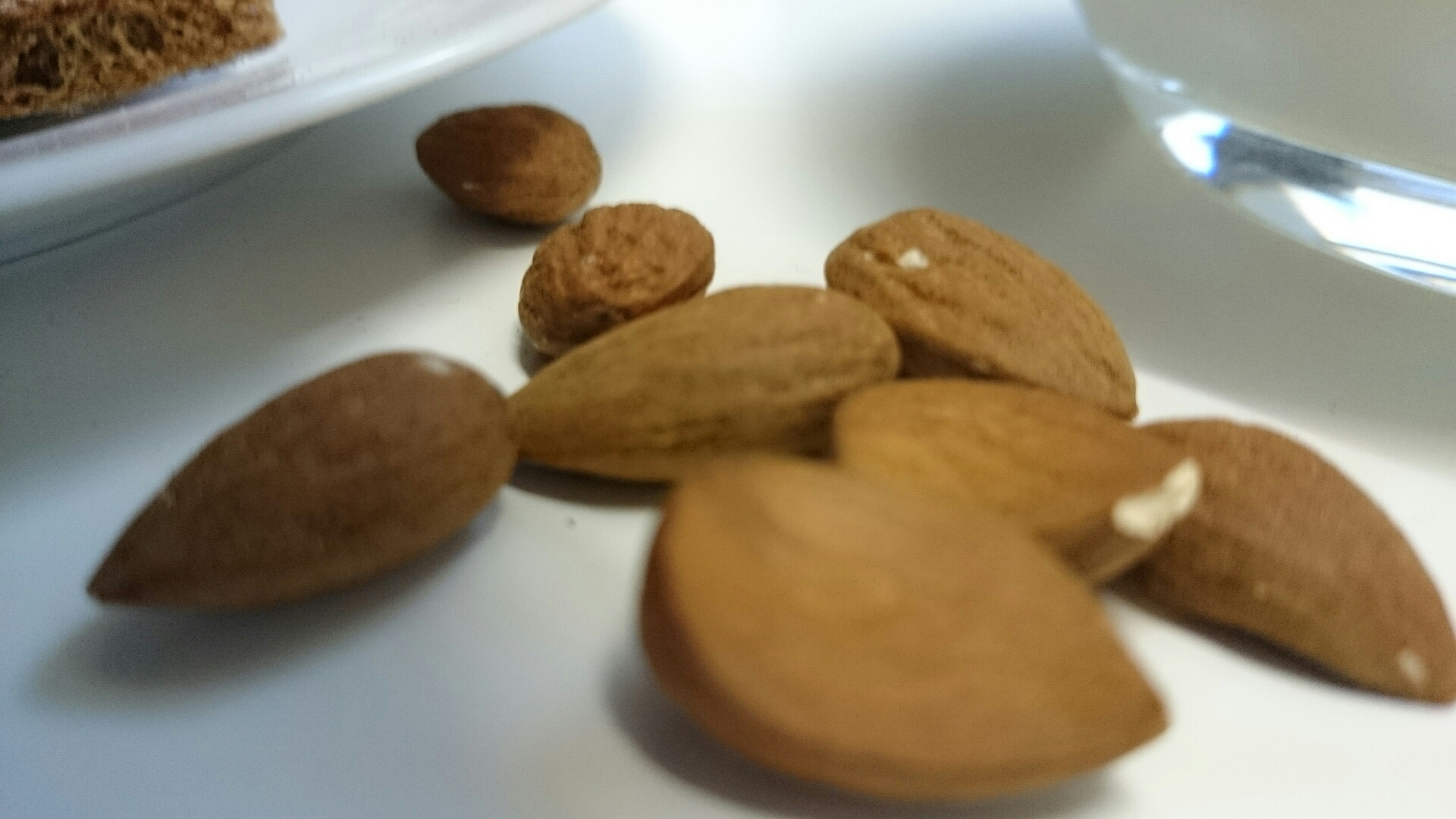 wp-1408952737756 image