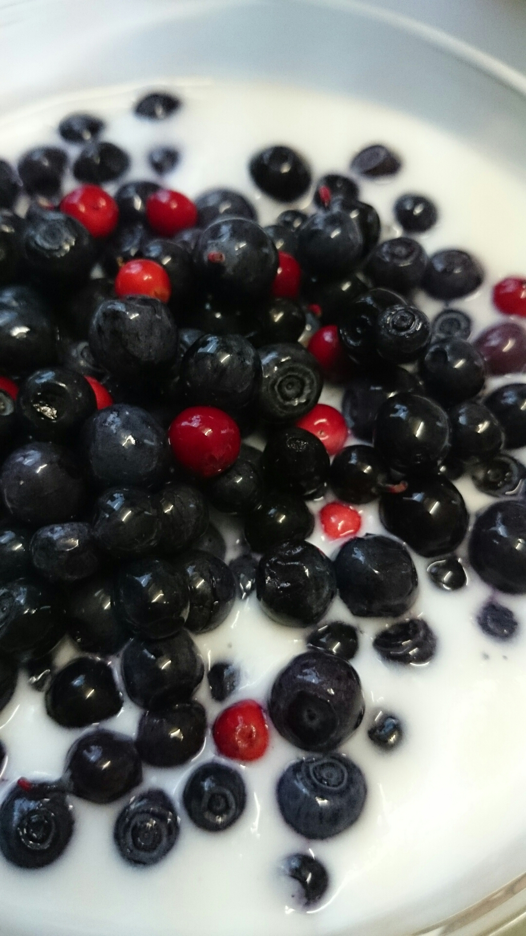 wp-1408952747364 image