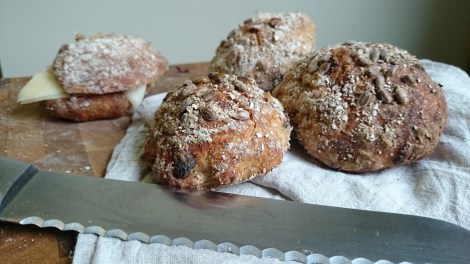 surdegsfrallor med solrosfrön och linfrön