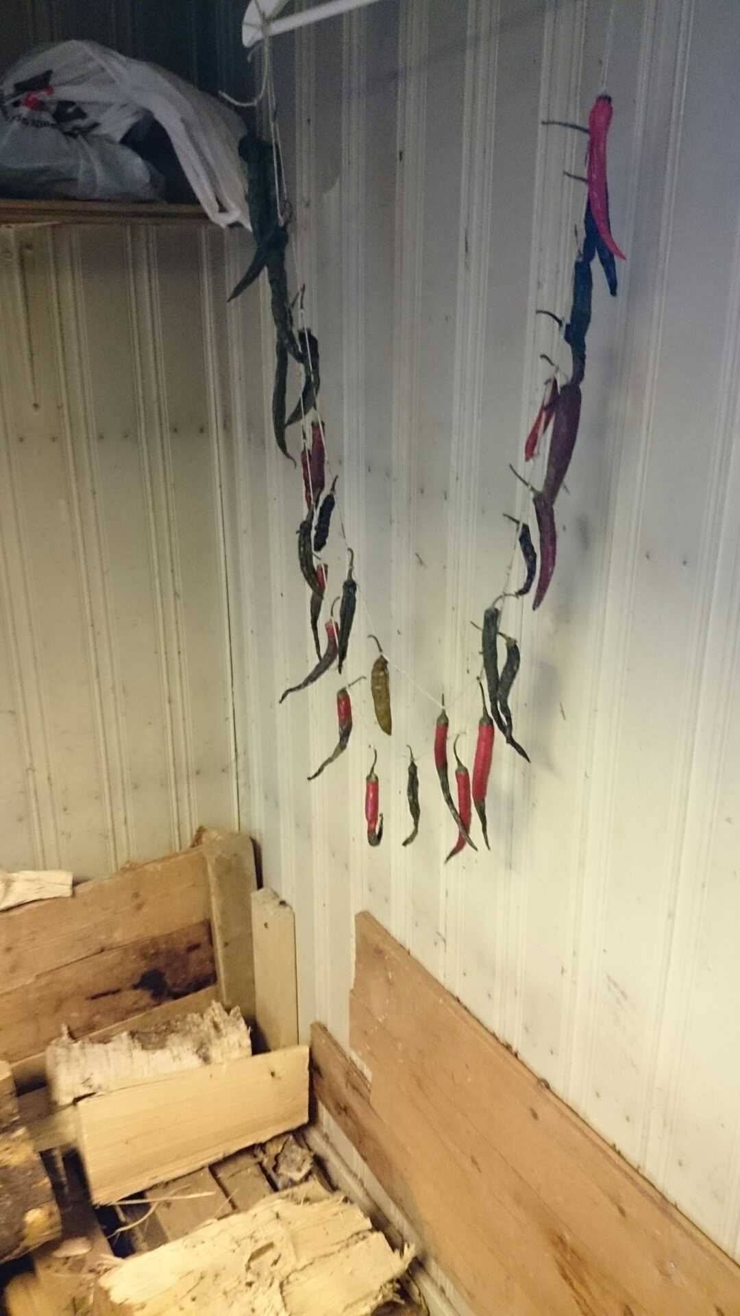 wp-1413293371388 image