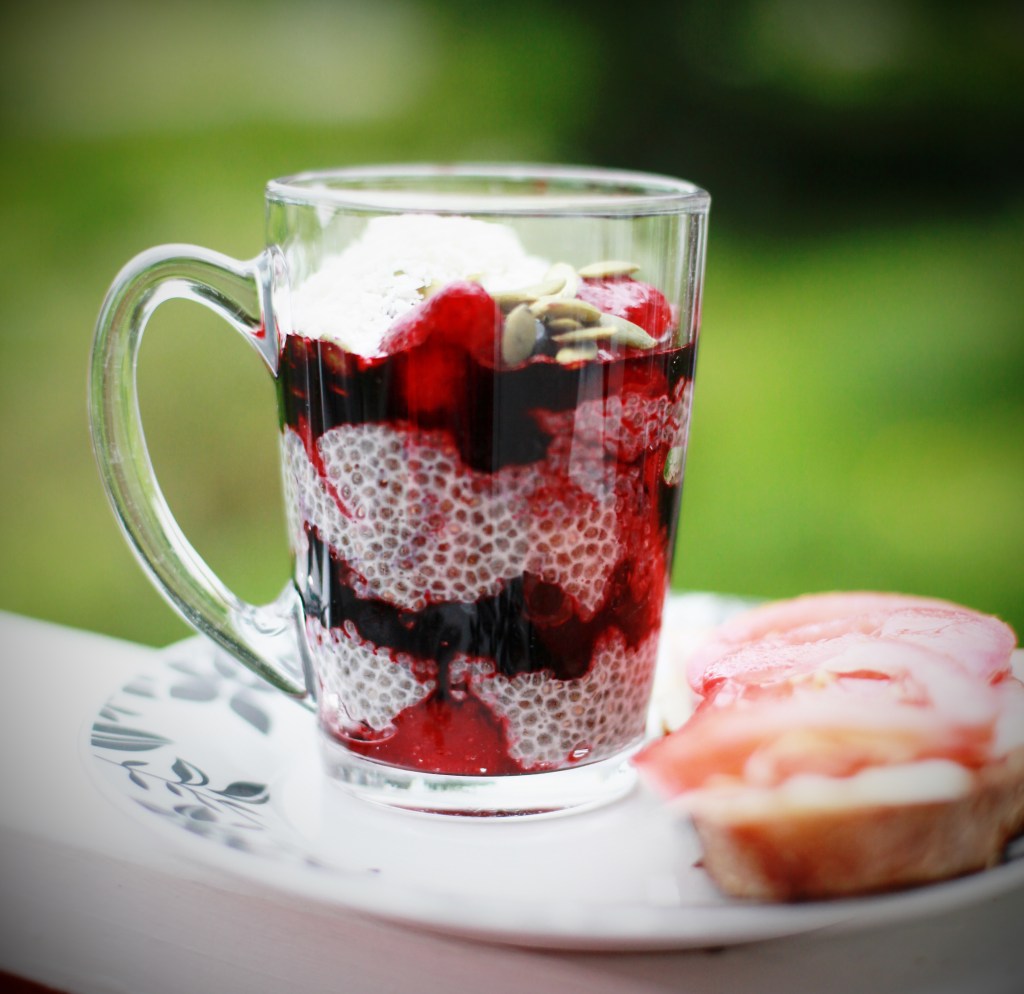 Chiapudding (och om vår önskan att få svart på&nbsp;vitt)