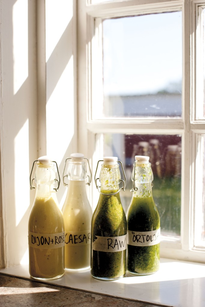 fotograf stefan anderson sally voltaires mat