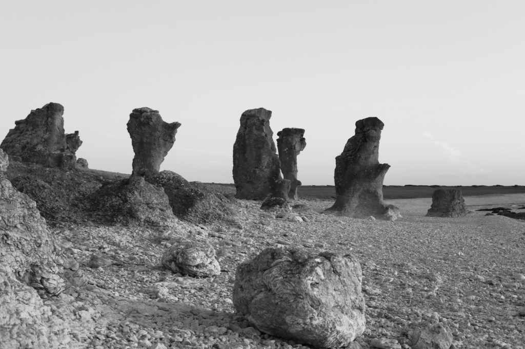 Langhammars raukområde 1