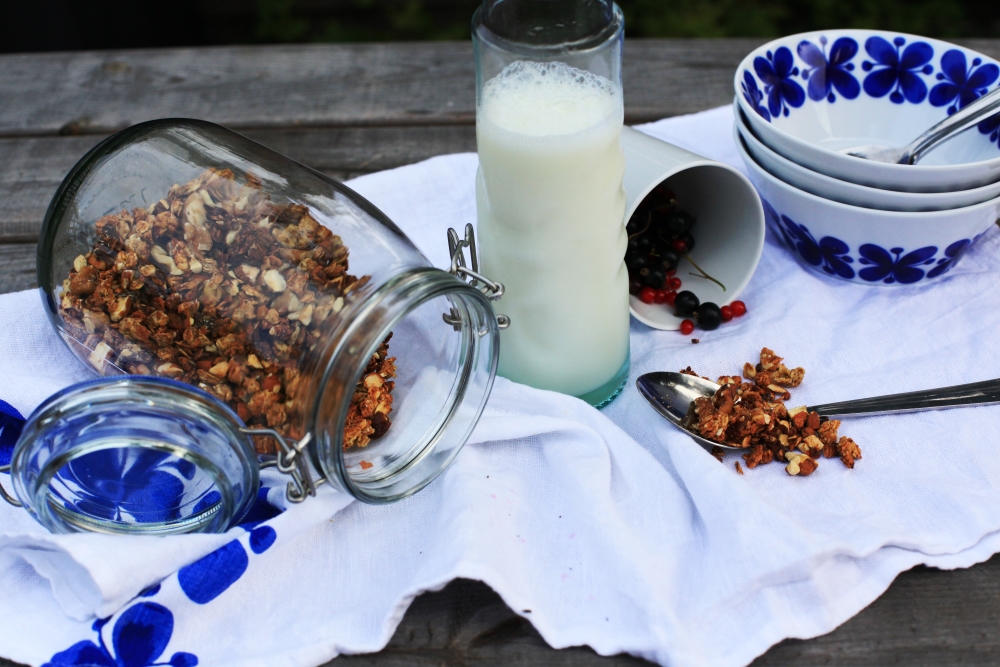 hemgjord crunchy granola 4