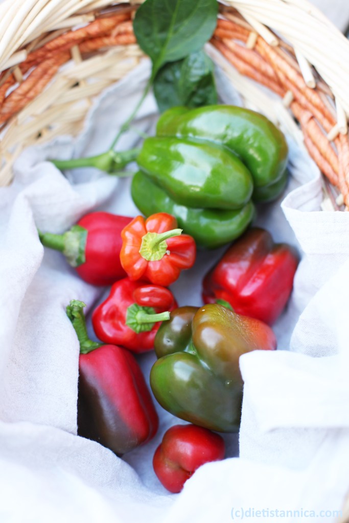 paprikor odla egen paprika ekologisk paprika