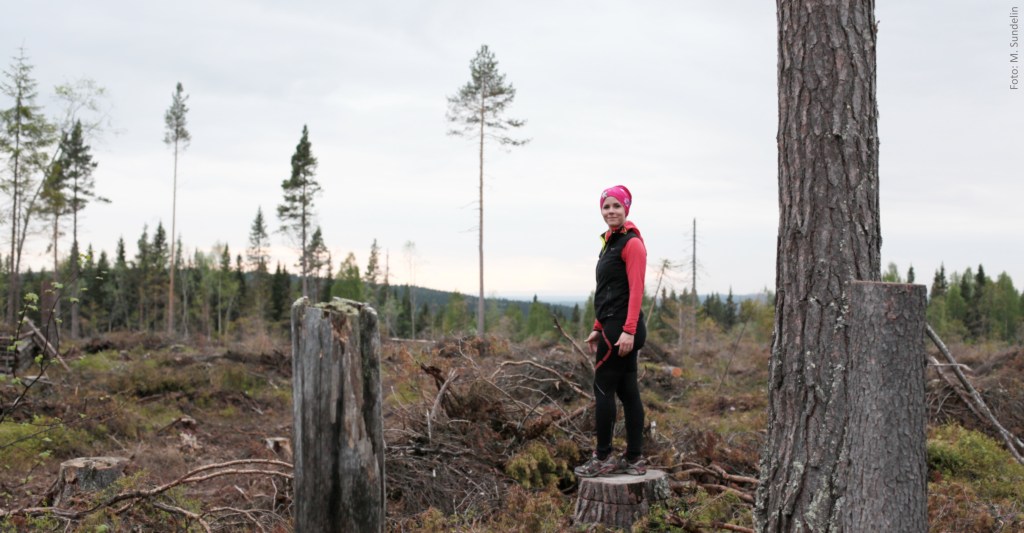 jogging östersund annica långvall