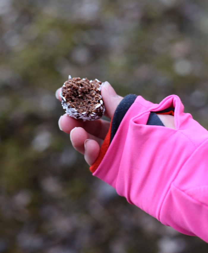 hälsosamma nyttiga chokladbollar utan dadlar med nötter och honung 2