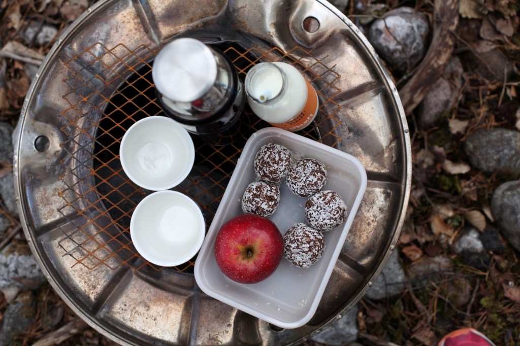hälsosamma nyttiga chokladbollar utan dadlar med nötter och honung