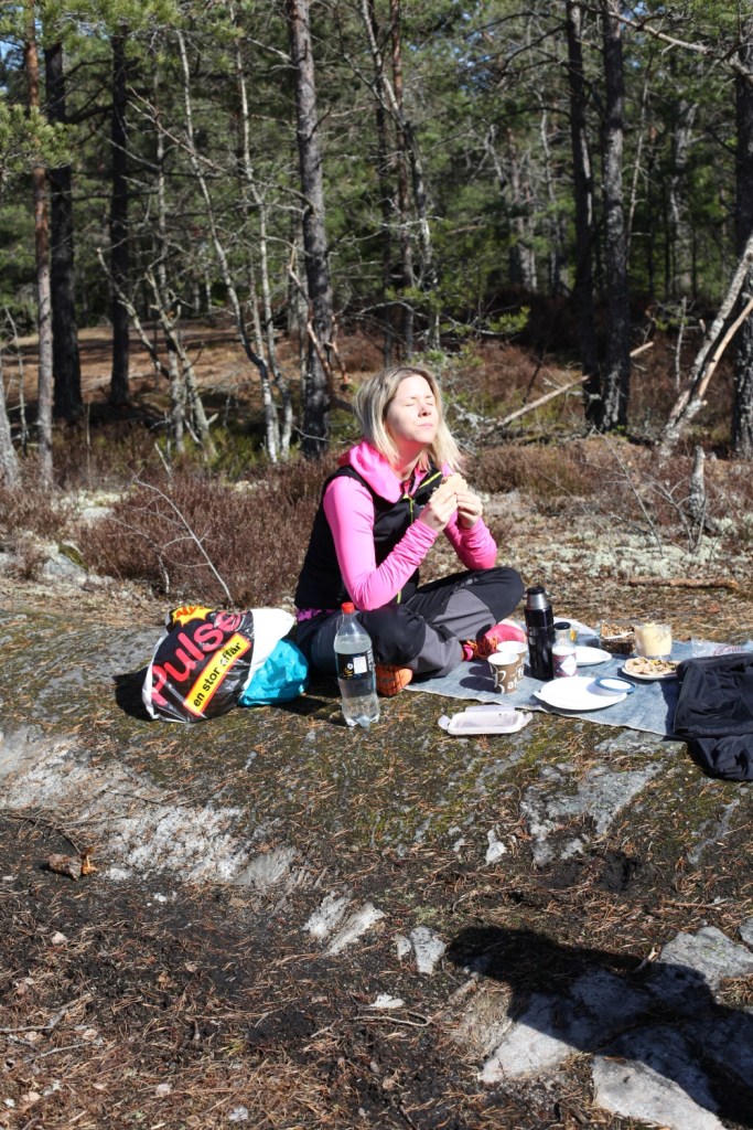picknick sörmlandsleden 2