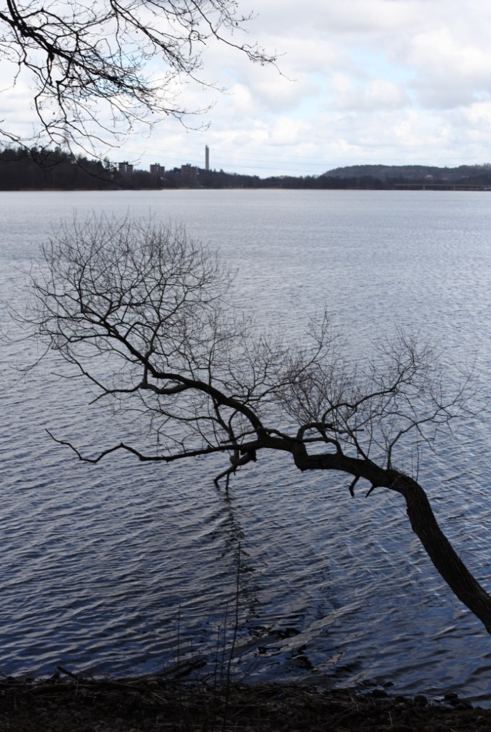 sjön i flottsbro