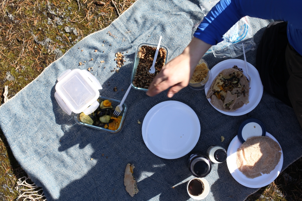 utflykt lida vegetariskt