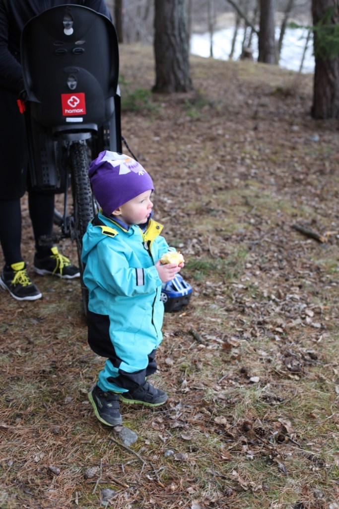 Viggo ser ut över sjön