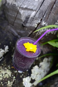 smoothie med hampaprotein