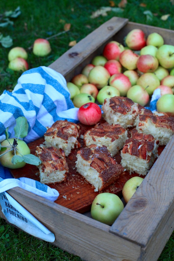 Äppelrutor äppelkaka sockerkaka med äpple och kanel baka med äpple