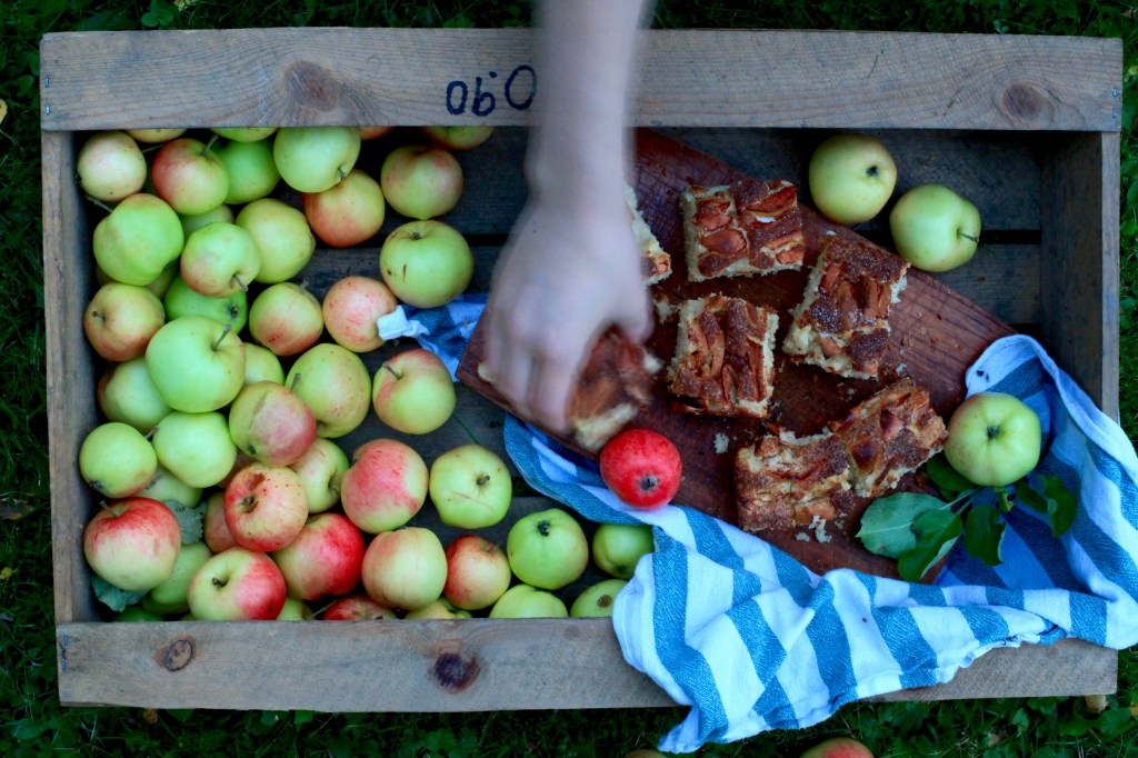Äppelrutor äppelkaka sockerkaka med äpplen vad kan man göra med sina äpplen baka