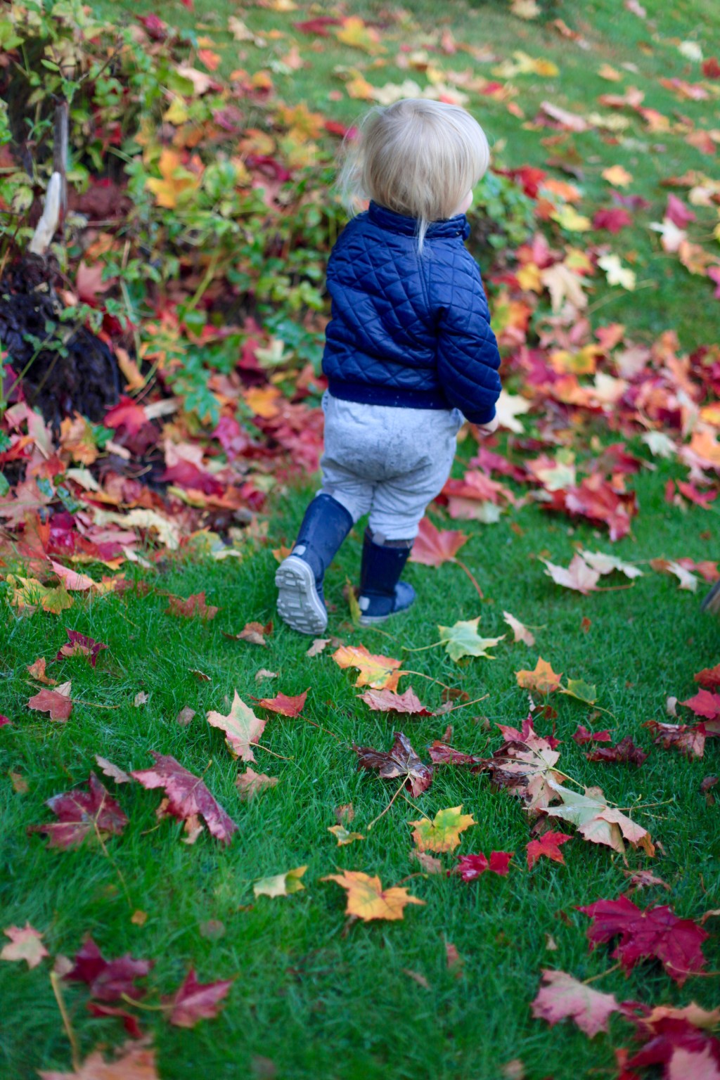 Att träna för att få&nbsp;energi