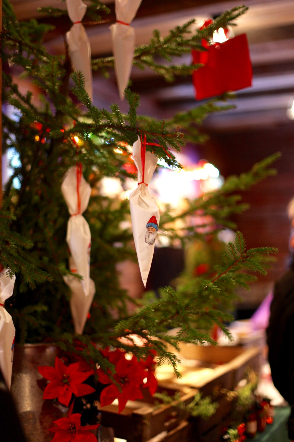 rörströmsäldens fiske och vildmarksvamp