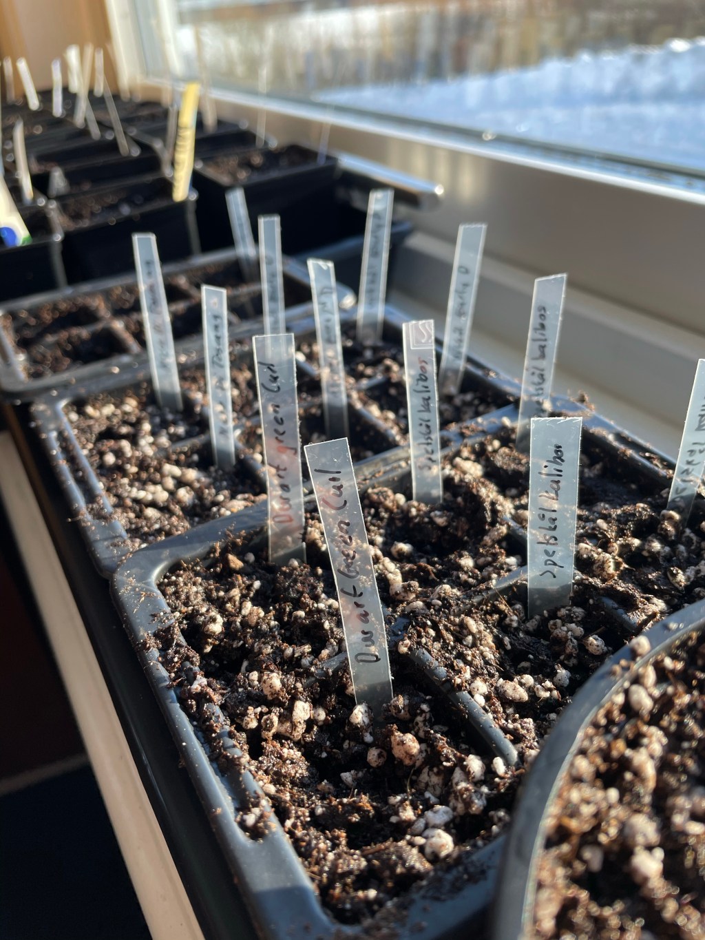 Odlingsåret 2022 och lärdomar från&nbsp;2021